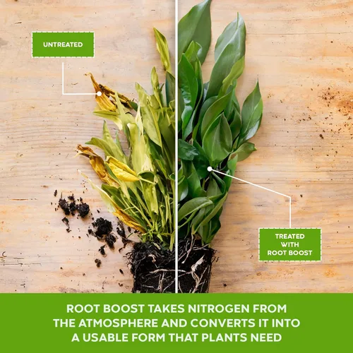 Vista 4 de Big Foot Polvo soluble en agua probiótico para plantas establecidas y trasplantes – Cultiva el tamaño de la raíz, aumenta el nitrógeno, cultiva