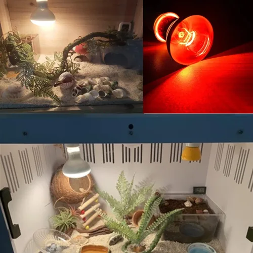 Vista 7 de Aiicioo Juego combinado de lámpara de calor para reptiles, 150 W, día y noche, bombilla infrarroja para dragón barbudo, lagarto, tortuga, cangrejo