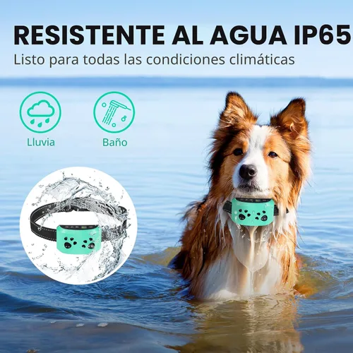 Vista 8 de Collar antiladridos para perros grandes, medianos y pequeños Dorado