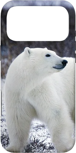 Vista 22 de Polar Bears Animal Nature Case for iPhone 17