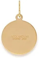 Vista 2 de Alex and Ani Divine Guides - Colgante de plata de ley chapada en oro de 14 quilates dos tonos pequeño