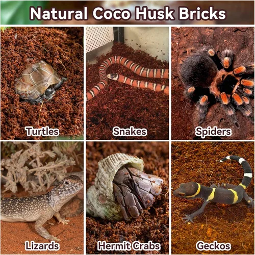 Vista 5 de Legigo 2 Pack Sustrato de fibra de coco comprimida - 100% fibra de coco orgánica en bloque para cama de reptiles, sustrato natural de cáscara
