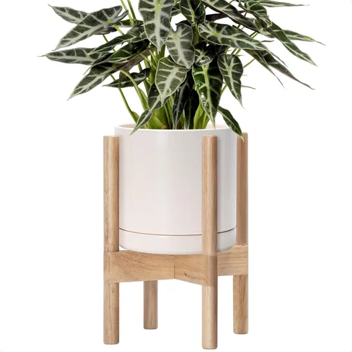 Vista 94 de D'vine Dev Maceta de cerámica con soporte de ébano – Maceta redonda moderna de 8 pulgadas con soporte para maceta de madera, color negro, 55-B-M-2