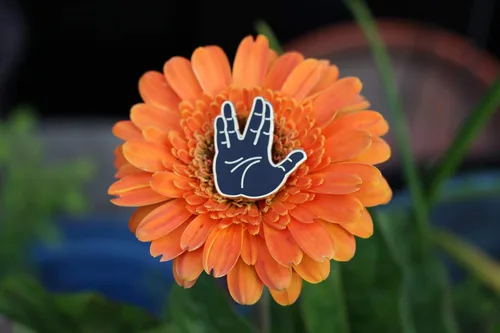 Vista 8 de Live Long & Prosper - Pin de esmalte con emoji, hecho por fanáticos de Star Trek, Esmalte