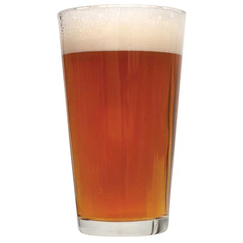 Vista 3 de Northern Brewer - El kit de recetas de cerveza con extracto de ámbar de Karl 90 Schilling hace 5 galones
