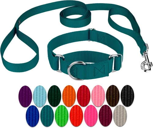 Vista 15 de Country Brook Design - Collar de perro de nailon Martingale y correa de doble asa-Negro-S