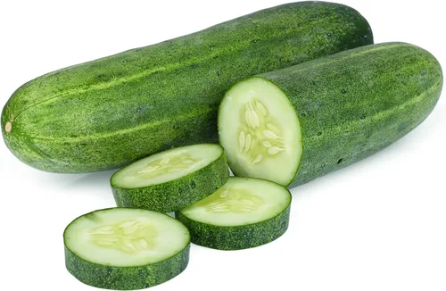 Vista 3 de TKE Farms & Gardens - Semillas de pepino, 8 rectas, 55 semillas de pepino sin OMG, ideales para rebanar, ensaladas y encurtidos crujientes, incluye
