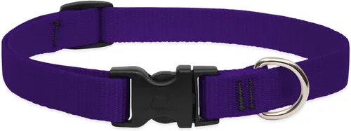 Vista 10 de Collar para perros, ajustable para perros pequeños a grandes. 3/4 de pulgada. De LupinePet, Azul