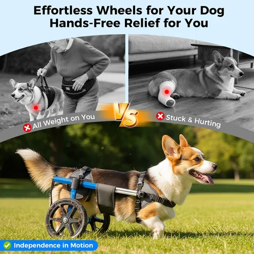 Vista 2 de Silla de ruedas para perros para patas traseras, silla de ruedas ajustable para perro, marco de aluminio con arnés acolchado, ruedas todo terreno