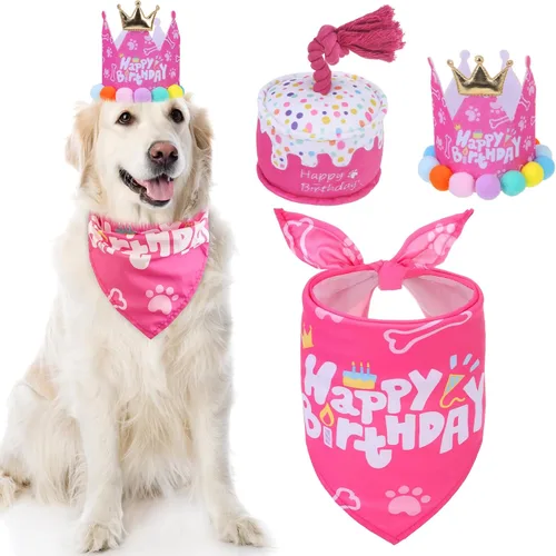 Vista 10 de Mihachi Suministros para fiestas de cumpleaños para perros, bandana y sombrero con número, bufanda triangular para regalo de decoración, perros
