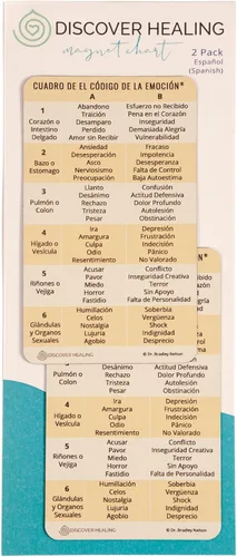 Vista 2 de El Código de la Emoción® - Tabla Magnética de las Emociones - 2 PAQUETES