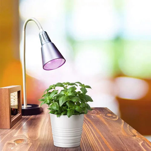 Vista 3 de Feit Electric Bombilla LED de espectro completo A19/GROW/LEDG2/BX, equivalente a 60 W, A19, no regulable, color verde
