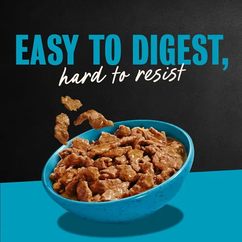 Vista 10 de Cesar Gourmet - Comida húmeda para perros, paquete de 12