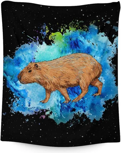 Vista 20 de Mantas temáticas de animales para niños, tamaño regazo de 30 x 40 pulgadas, manta de felpa suave y peluda para regalo, mantas negras para cama, sofá