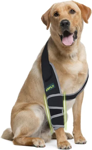 Vista 29 de Codera para perros gigantes, soporte para hombros y articulaciones para adultos mayores Diseñado para razas gigantes que necesitan apoyo adicional