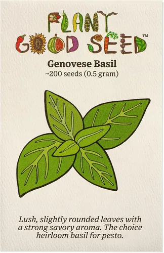 Vista 7 de Plant Good Seed Semillas de albahaca de hojas grandes italianas orgánicas para plantar: hierba culinaria, hojas verdes - Paquete de 200 semillas