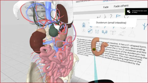 Vista 9 de 3D Organon VR Anatomy - Instant Access