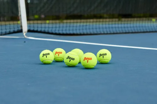 Vista 10 de Penn Pelotas de tenis Championship - Pelotas de tenis a presión de fieltro de servicio regular