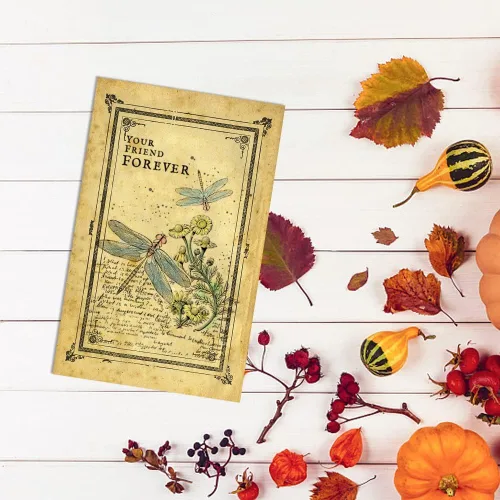 Vista 5 de Estivaux Flores, libélula de fondo, sellos transparentes para hacer tarjetas y diario, flores retro, palabras de goma, hojas florales, paisajes