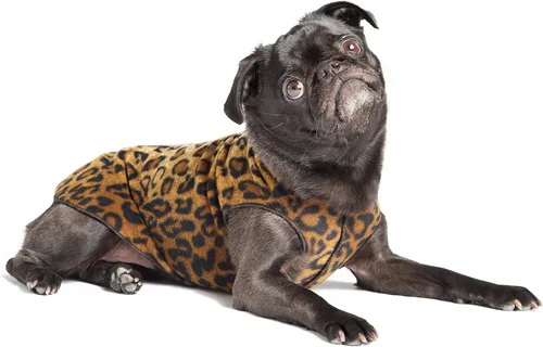 Vista 14 de Abrigo elástico de lana para perro, ropa suave y cálida para perro, suéter elástico para mascotas, lavable en lavadora, ecológico, para todo el año