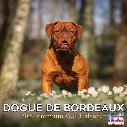 Vista 203 de Calendario de Lebrel Afgano 2025 2026, calendario mensual de pared de raza canina, 12" x 18" abierto, papel grueso sin traspaso, ideal para regalo