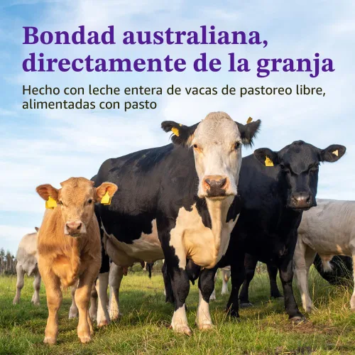Vista 5 de Bubs Fórmula Infantil de 365 Días de Ganado Alimentado con Pasto con Hierro, Polvo a Base de Leche de Vaca para Bebés de 0-12 Meses, Hecha con Leche