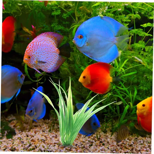 Vista 4 de 10 piezas de acuario paisajismo decoración de acuario plantas de plástico plantas de acuario agua viva decoración de acuario paisaje decoración