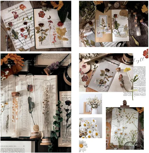 Vista 4 de Maxleaf Calcomanías de la Serie Botánica, 80 Calcomanías Grandes de Flores Secas Impermeables Transparentes, Calcomanías Florales de Plantas