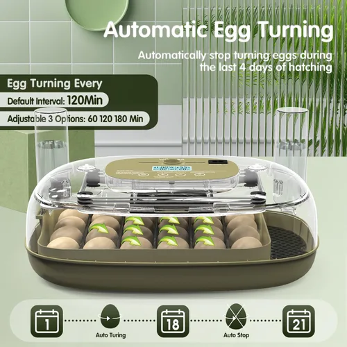 Vista 5 de HOWOOlUA Incubadora de huevos para incubar huevos con giro automático, control de temperatura y humedad, incubadora de huevos integrada de gran 24