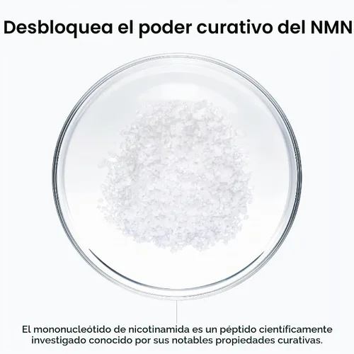 Vista 5 de Beta-NMN Precursor de mononucleótido de nicotinamida beta NAD+ – Energía celular avanzada y longevidad – Promueve la vitalidad, la función