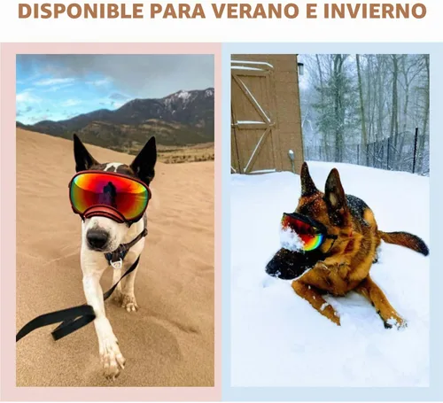 Vista 5 de Gafas de sol para perros medianos con correa ajustable, protección UV, gafas de sol para cachorros a prueba de viento, adecuadas para mascotas