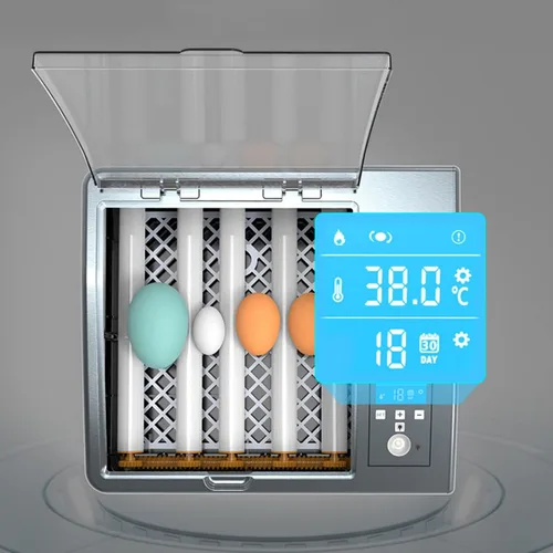 Vista 2 de Incubadora de 16 huevos de gallina, mini incubadora automática de temperatura, incubadora totalmente digital con control automático de temperatura
