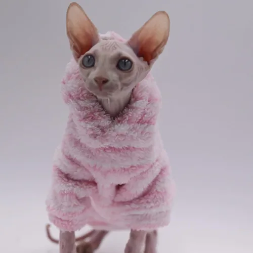 Vista 3 de Ropa para gatos sin pelo, de grosor cálido, suave, de invierno, para gatos Sphynx, gatos Devon Rex, Cornish y gatos pequeños (XS)