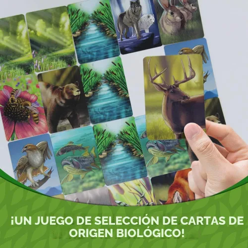 Vista 4 de Ecosistema - Un juego de cartas familiar sobre la construcción de hábitats ¡Aprende sobre animales, ecología y biodiversidad para niños, adultos