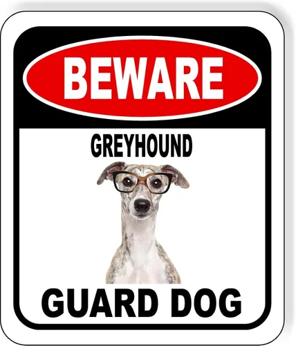 Vista 29 de BEWARE BASSETT HOUND GUARD DOG - Letrero compuesto de aluminio para exteriores, 8.5 x 10 pulgadas CUIDADO BASSETT HOUND GUARD PERRO