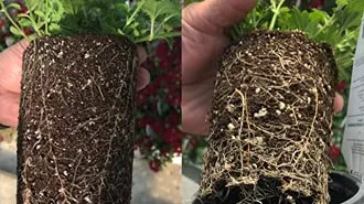 Vista 2 de Obtego Fungicida y Simbionte de Plantas 5 lb