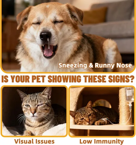 Vista 2 de Just Try Polvo de L-lisina con taurina para gatos, lisina, apoyo inmunológico para perros, suplemento de lisina, suministros de salud para gatos, 7