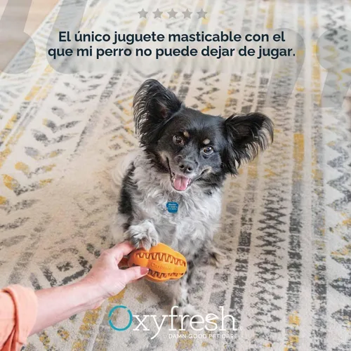 Vista 7 de Oxyfresh Juguete dental masticable para perros, el mejor juguete de limpieza de dientes de perro, un simple juguete de mordida y cepillo que ayuda a