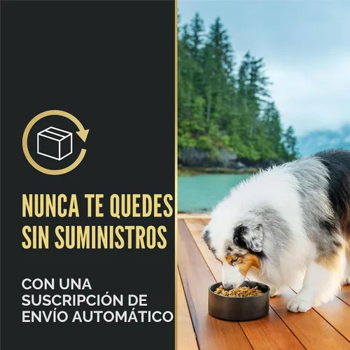 Vista 12 de De Purina Pro Plan, mezcla de comida seca para perros con piel y estómago sensible a base de salmón y arroz