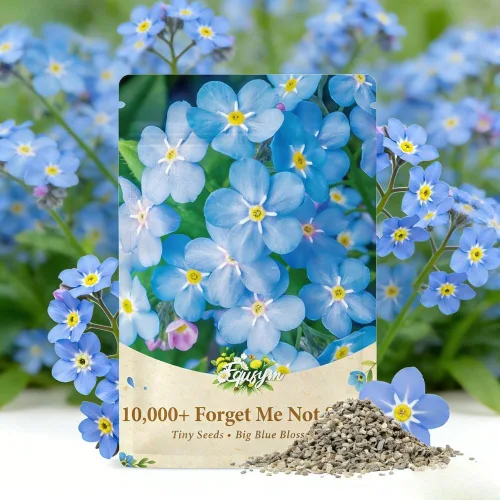 Vista 7 de Más de 150 semillas de flores de jazmín trepadoras para plantar, fáciles de cultivar, sin OMG, flores fragantes de alta germinación para el jardín