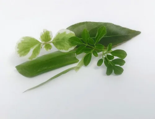 Vista 2 de Bálsamo Moringa de 4 onzas, multiuso, sin perfume, totalmente natural, eczema, dermatitis, cuidado cutáneo, manos secas