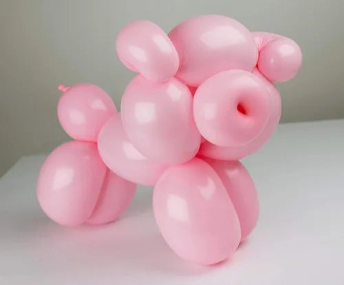Vista 8 de Globos de torsión sólidos 260Q