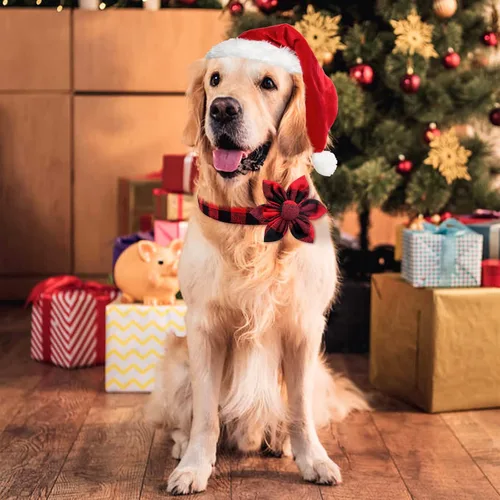 Vista 6 de Malier Collar de Navidad para perro con flor, clásico collar de perro a cuadros de búfalo con hebilla, collares de Navidad ajustables con pajarita