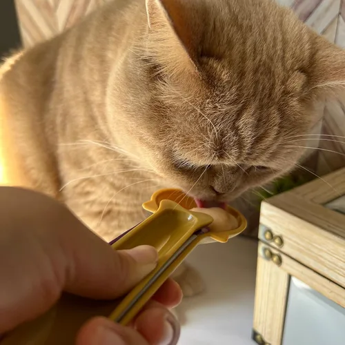 Vista 7 de Dispensador de golosinas para gatos, exprimidor de golosinas húmedas para puré y galletas, verde
