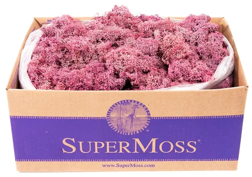 Vista 33 de SuperMoss 21786 Musgo de Reno Preservado Negro, Aprox. 3 lb Estuche a Granel
