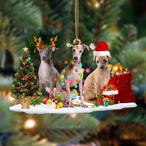 Vista 10 de Nazenti Adorno de Navidad personalizado con amigos Affenpinscher – Adorno de perro personalizado para amantes de las mascotas, acrílico plano