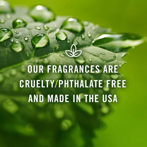 Vista 6 de P&J Trading Aceite de fragancia para difusores para el hogar – Vetiver 0.3 fl oz Fragancia aromas para hacer velas – Suministros para hacer jabón