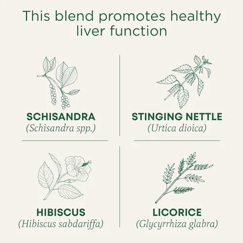 Vista 3 de Traditional Medicinals Té, Desintoxicación Diaria Orgánica de Baya Schisandra, Apoya la Función Hepática Saludable, Desintoxicación, 16 Bolsas de Té