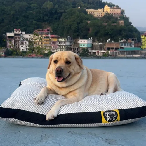 Vista 2 de Wagging Tails Cama para perros con funda extraíble impermeable lavable Sofá de microfibra y espuma viscoelástica triturada Saco de dormir