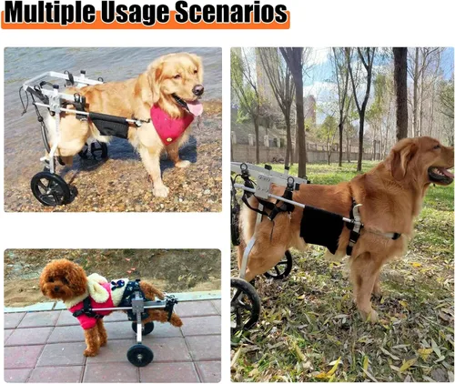 Vista 2 de Silla de ruedas para perros con patas traseras discapacitadas, silla de ruedas ajustable y de apoyo para patas traseras, cómodas sillas de ruedas